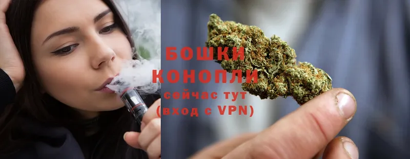 Каннабис OG Kush  Торопец 